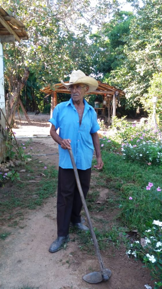 media/imagens/WhatsApp_Image_2020-10-29_at_08.11.57_2.jpeg